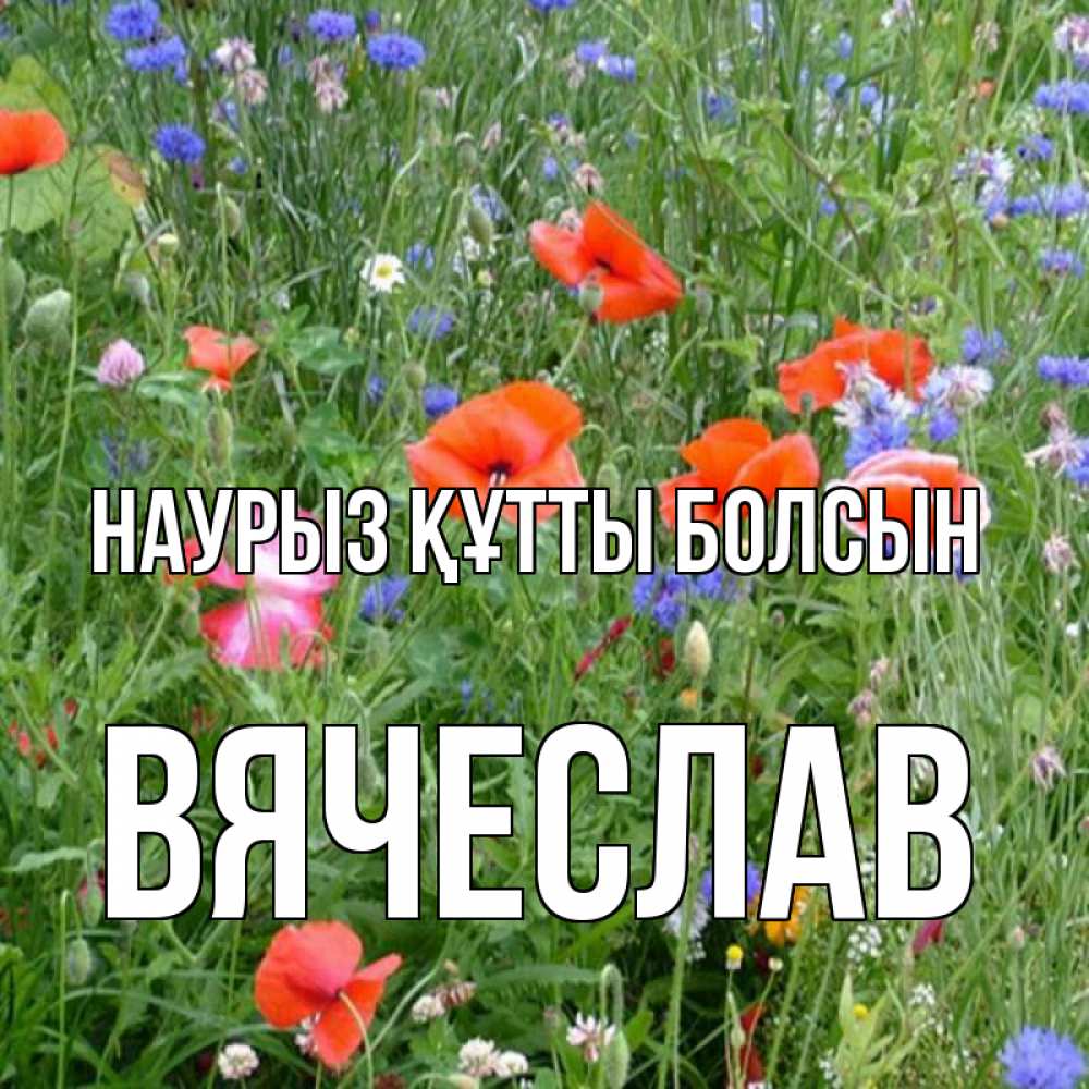 Күн сайын ашық хат с именем, Вячеслав Наурыз құтты болсын наурыз  4 Онлайн тегін жүктеп алу тілектері бар керемет карта 