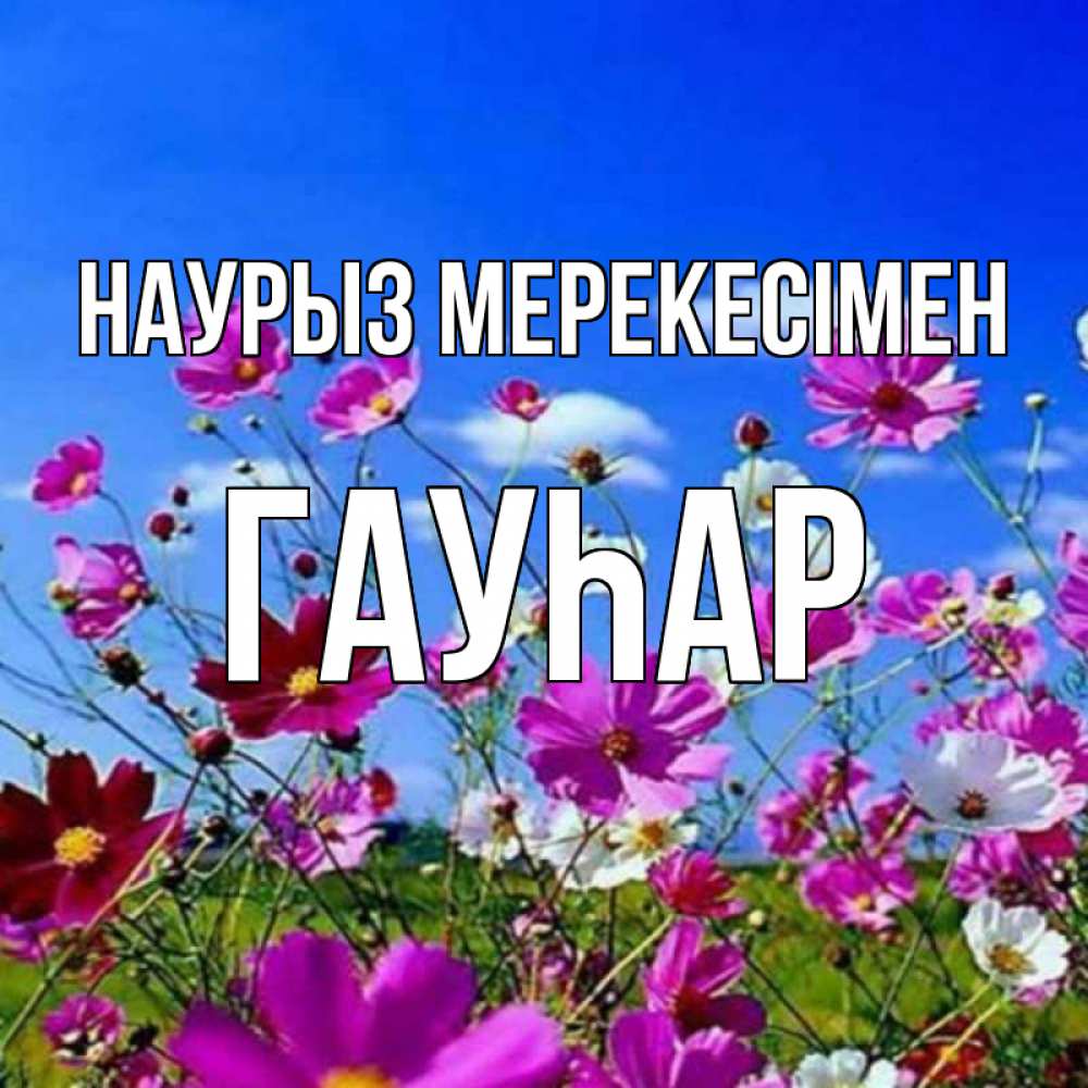 Күн сайын ашық хат с именем, Гауһар Наурыз мерекесімен цветы Онлайн тегін жүктеп алу тілектері бар керемет карта 
