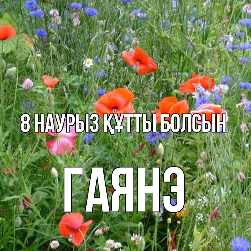 Күн сайын ашық хат с именем, Гаянэ 8 наурыз құтты болсын международный женский день 4 Онлайн тегін жүктеп алу тілектері бар керемет карта 