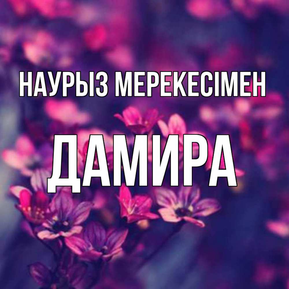 Күн сайын ашық хат с именем, ДАМИРА Наурыз мерекесімен небольшие цветы 1 Онлайн тегін жүктеп алу тілектері бар керемет карта 