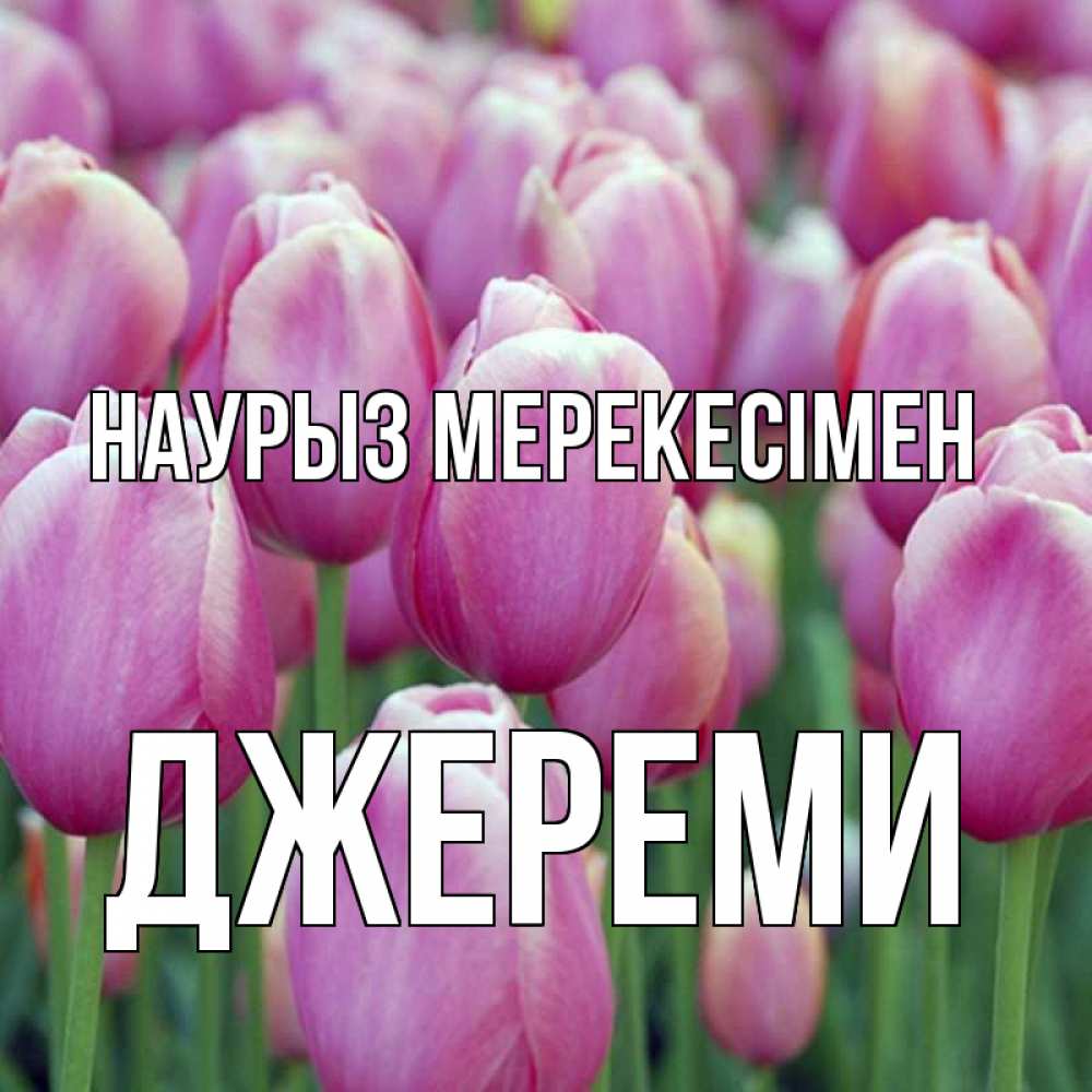 Күн сайын ашық хат с именем, Джереми Наурыз мерекесімен праздник весны наурыз 69 Онлайн тегін жүктеп алу тілектері бар керемет карта 
