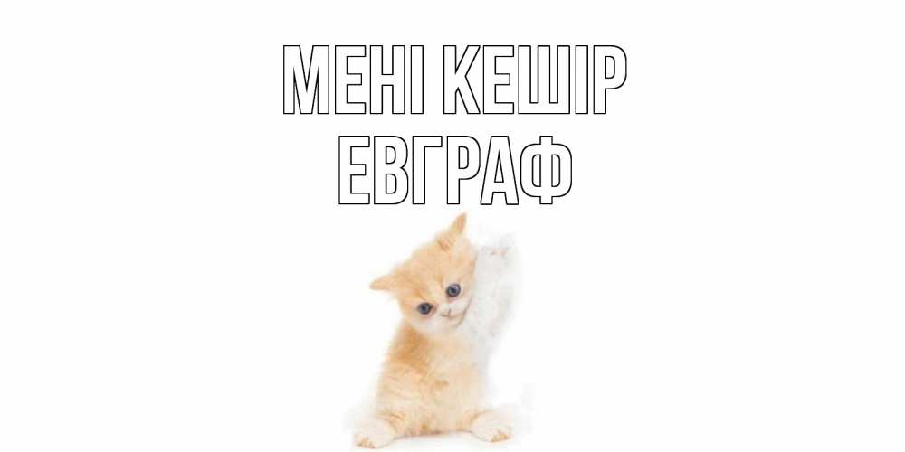 Күн сайын ашық хат с именем, Евграф Мені кешір кот Онлайн тегін жүктеп алу тілектері бар керемет карта 