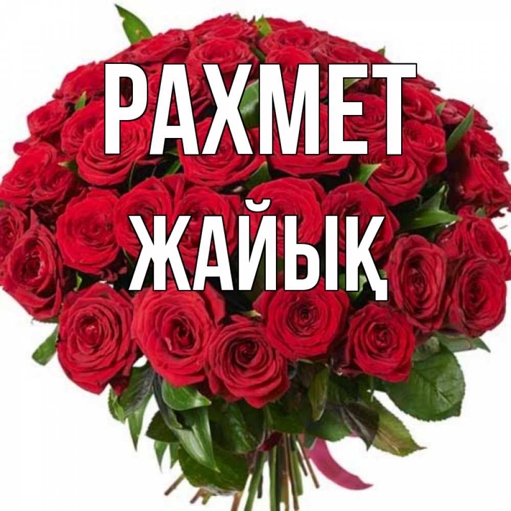 Күн сайын ашық хат с именем, Жайық рахмет букет красных роз Онлайн тегін жүктеп алу тілектері бар керемет карта 
