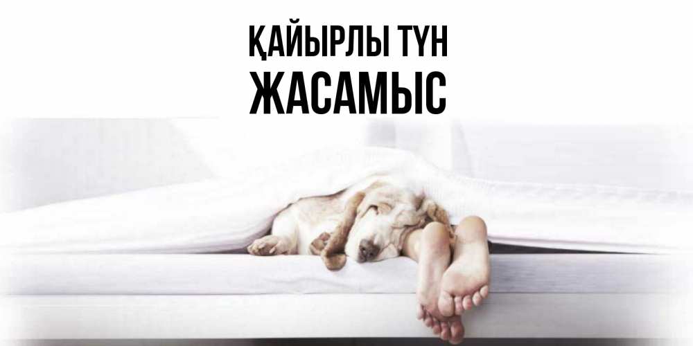 Күн сайын ашық хат с именем, Жасамыс Қайырлы түн кровать с собакой пожелание сладких снов и спокойной ночи Онлайн тегін жүктеп алу тілектері бар керемет карта 