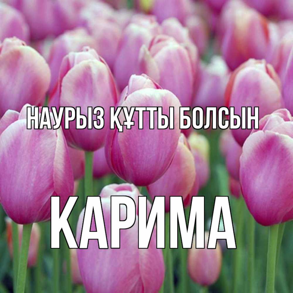 Күн сайын ашық хат с именем, Карима Наурыз құтты болсын на наурыз  день 3 Онлайн тегін жүктеп алу тілектері бар керемет карта 