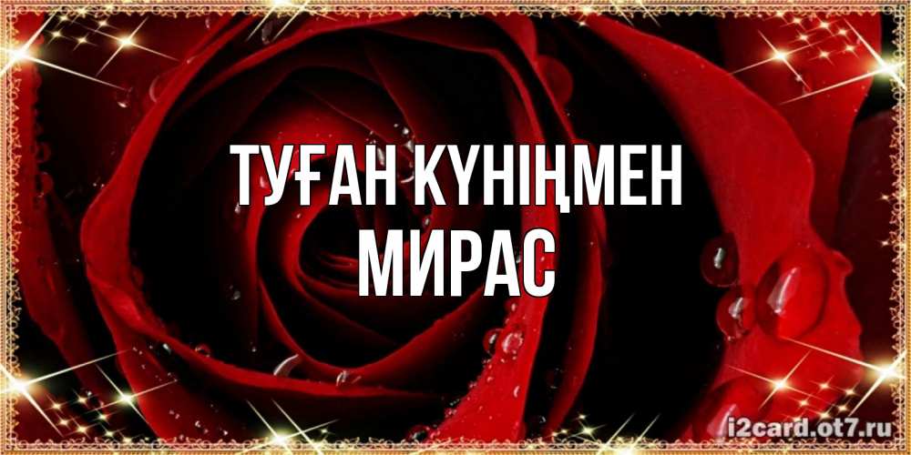 Күн сайын ашық хат с именем, МИРАС Туған күніңмен цветок в росе на день рождения Онлайн тегін жүктеп алу тілектері бар керемет карта 