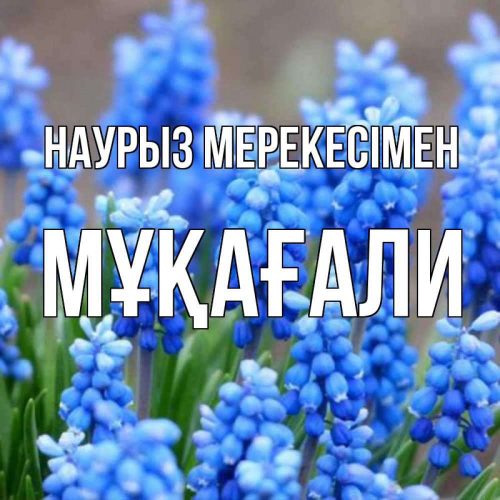 Күн сайын ашық хат с именем, МҰҚАҒАЛИ Наурыз мерекесімен Поздравительная открытка для женщин с цветами на праздничную дату Онлайн тегін жүктеп алу тілектері бар керемет карта 