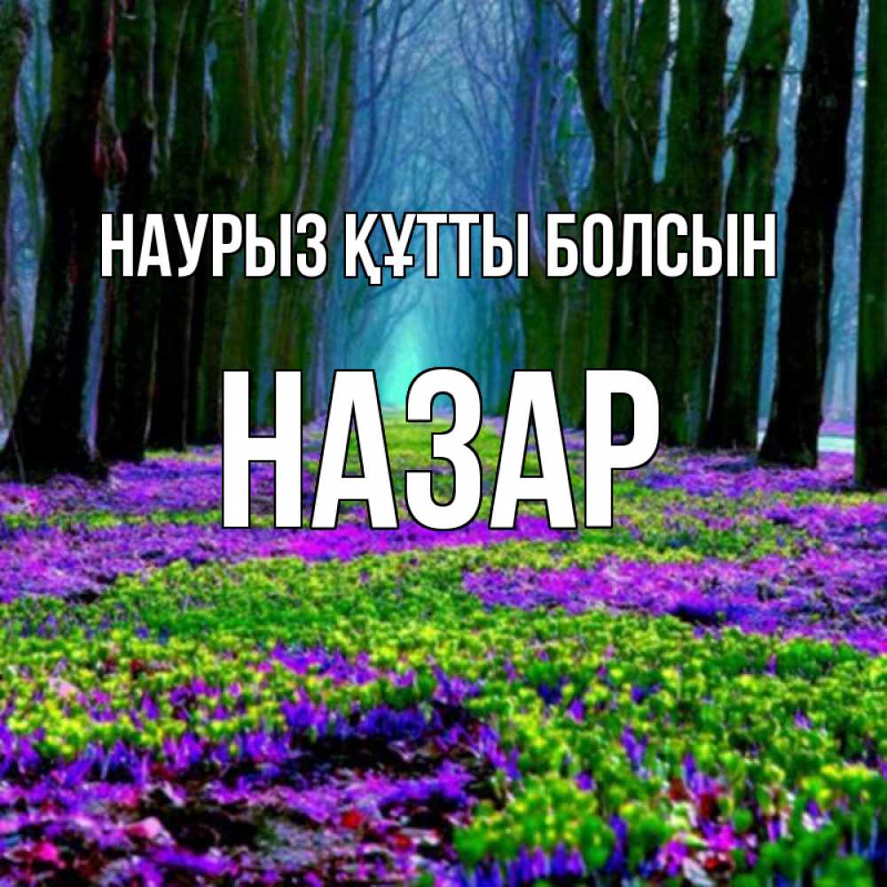 Күн сайын ашық хат с именем, НАЗАР Наурыз құтты болсын фиолетовые цветы в лесу 1 Онлайн тегін жүктеп алу тілектері бар керемет карта 