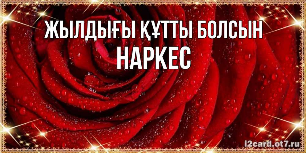 Күн сайын ашық хат с именем, НАРКЕС Жылдығы құтты болсын роса на розе блестящая в лучах солнца Онлайн тегін жүктеп алу тілектері бар керемет карта 