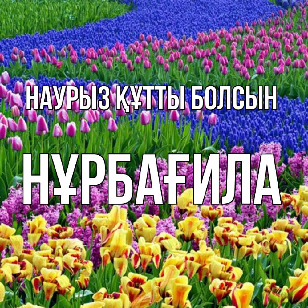 Күн сайын ашық хат с именем, НҰРБАҒИЛА Наурыз құтты болсын цветы Онлайн тегін жүктеп алу тілектері бар керемет карта 