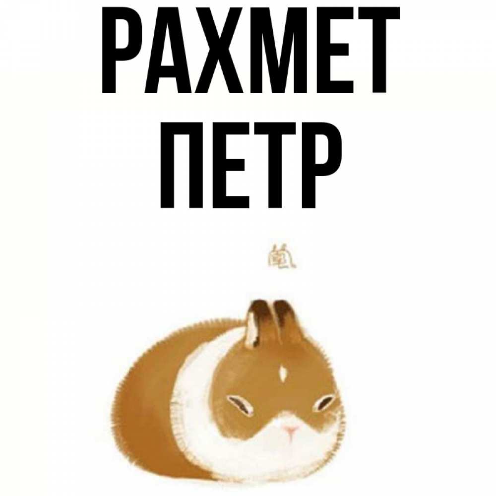 Күн сайын ашық хат с именем, Петр рахмет коричнево белый домашний питомец Онлайн тегін жүктеп алу тілектері бар керемет карта 