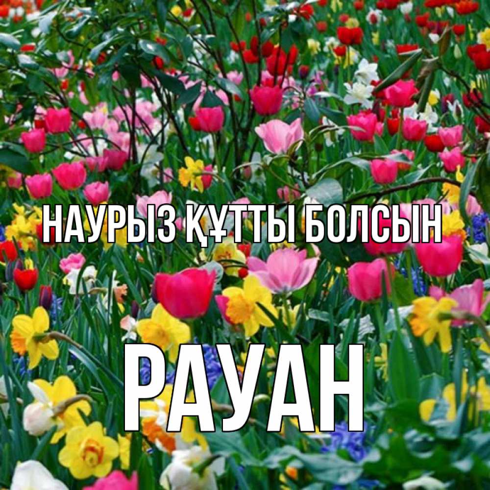 Күн сайын ашық хат с именем, РАУАН Наурыз құтты болсын с наурызом поздравления для женщины Онлайн тегін жүктеп алу тілектері бар керемет карта 