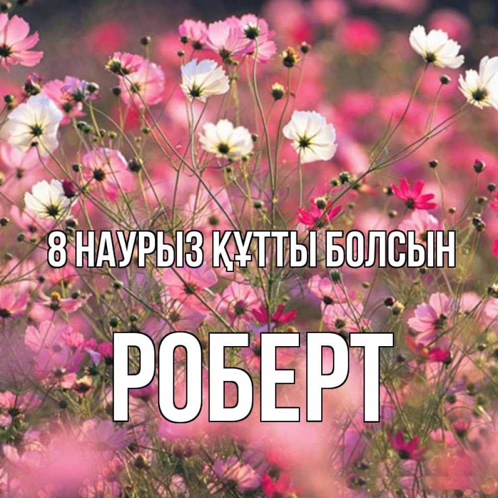 Күн сайын ашық хат с именем, Роберт 8 наурыз құтты болсын красиво 1 Онлайн тегін жүктеп алу тілектері бар керемет карта 