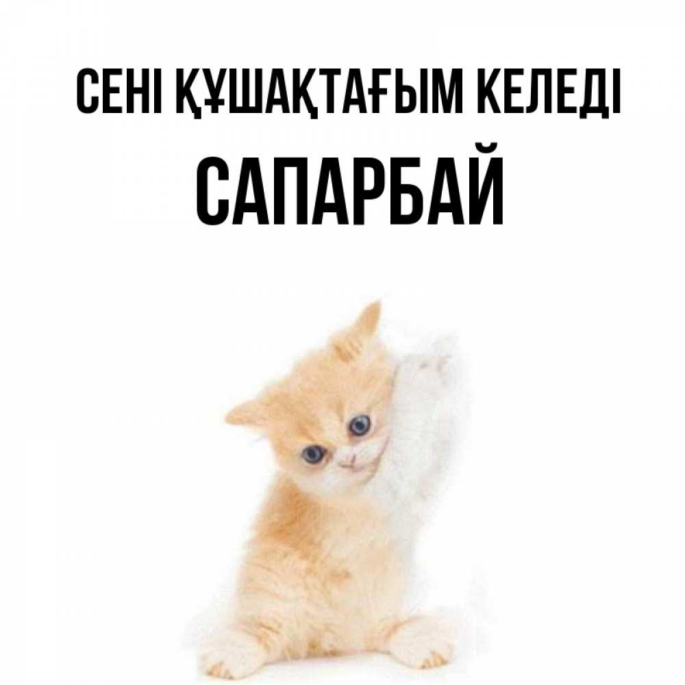 Күн сайын ашық хат с именем, САПАРБАЙ сені құшақтағым келеді я хочу очень скорее обнимаешек Онлайн тегін жүктеп алу тілектері бар керемет карта 