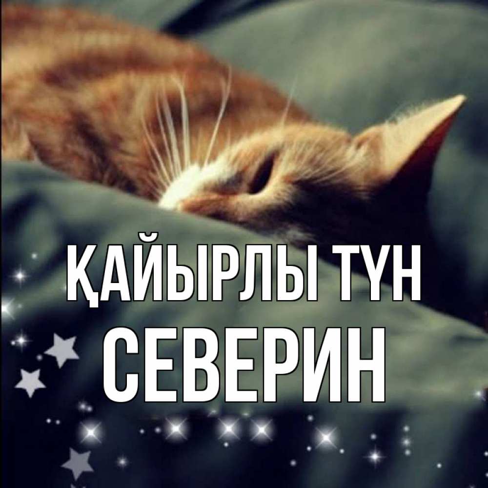 Күн сайын ашық хат с именем, Северин Қайырлы түн кроватка Онлайн тегін жүктеп алу тілектері бар керемет карта 