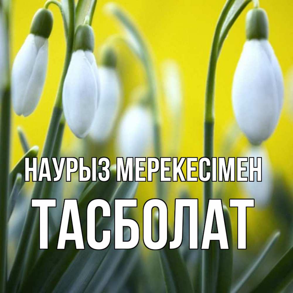 Күн сайын ашық хат с именем, ТАСБОЛАТ Наурыз мерекесімен весенние цветы Онлайн тегін жүктеп алу тілектері бар керемет карта 