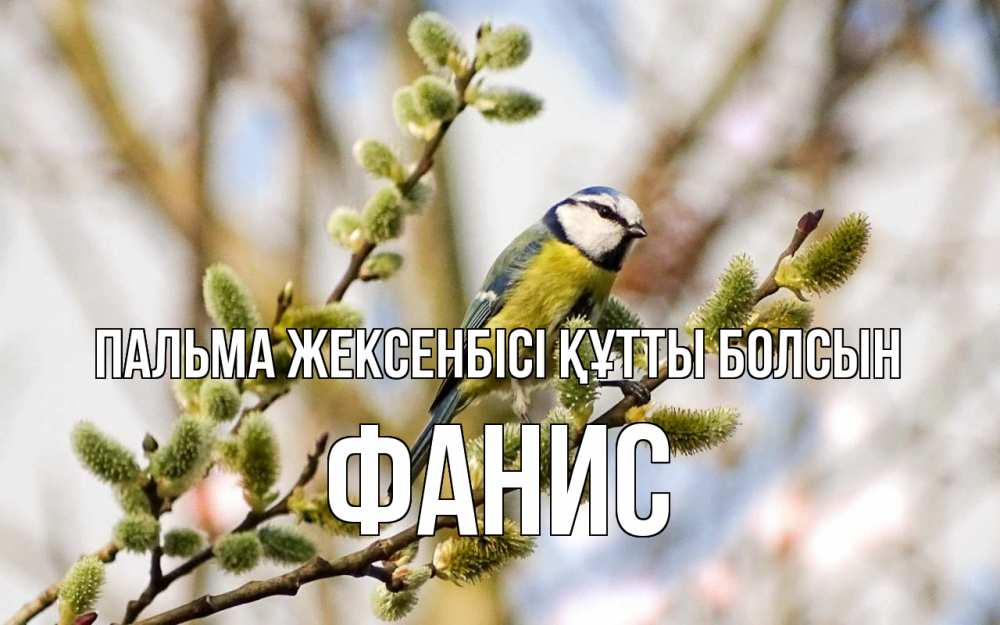 Күн сайын ашық хат с именем, Фанис Пальма жексенбісі құтты болсын верба Онлайн тегін жүктеп алу тілектері бар керемет карта 