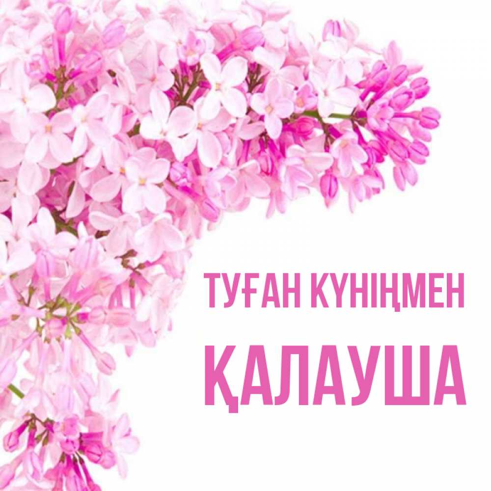 Күн сайын ашық хат с именем, Қалауша Туған күніңмен Сирень на белом фоне Онлайн тегін жүктеп алу тілектері бар керемет карта 