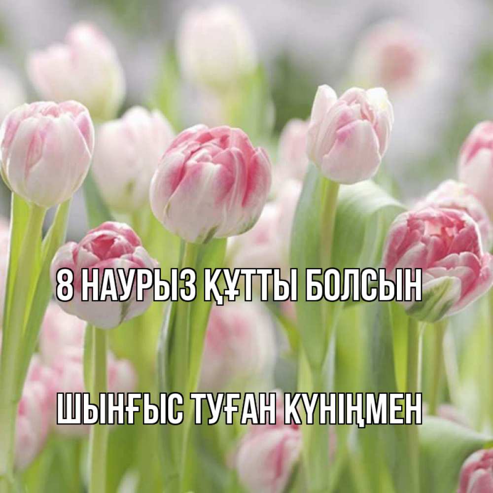 Картинка 8 наурыз құтты болсын, ШЫНҒЫС! ТУҒАН КҮНІҢМЕН!