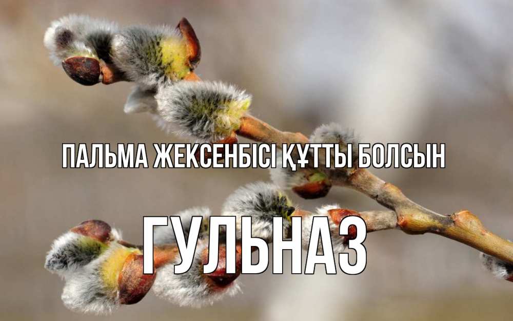 Картинка Пальма жексенбісі құтты болсын, Гульназ