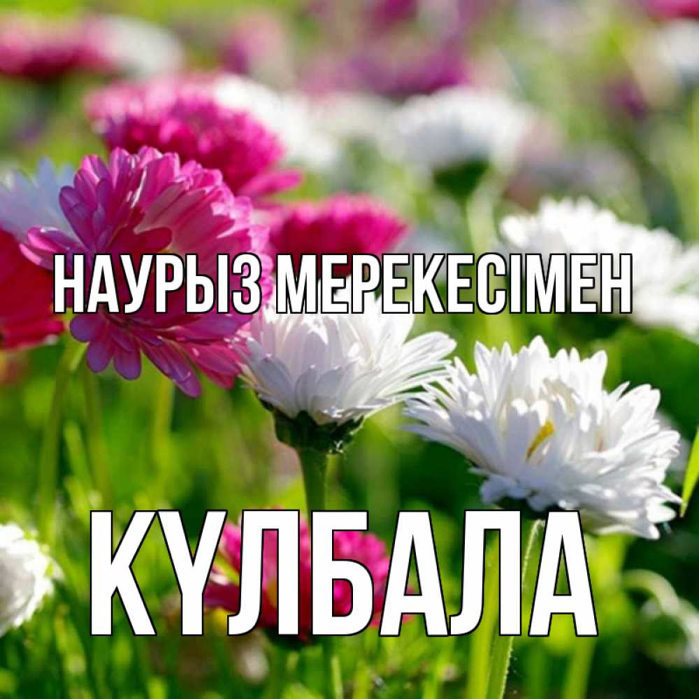 Күн сайын ашық хат с именем, Күлбала Наурыз мерекесімен праздник весны наурыз красота Онлайн тегін жүктеп алу тілектері бар керемет карта 