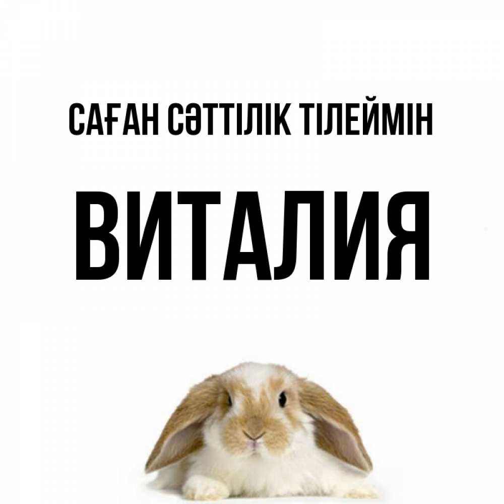 Күн сайын ашық хат с именем, Виталия Саған сәттілік тілеймін открытки с произвольным текстом который можно вставить в открытку и создать ее самостоятельно бесплатно онлайн Онлайн тегін жүктеп алу тілектері бар керемет карта 