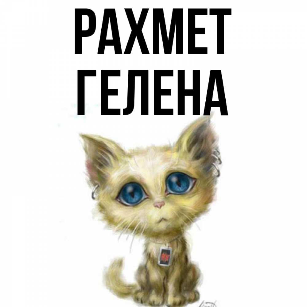 Күн сайын ашық хат с именем, Гелена рахмет рисованный кот благодарит вас Онлайн тегін жүктеп алу тілектері бар керемет карта 