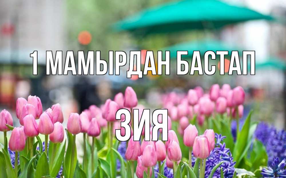 Күн сайын ашық хат с именем, ЗИЯ 1 мамырдан бастап С 1 мая Онлайн тегін жүктеп алу тілектері бар керемет карта 