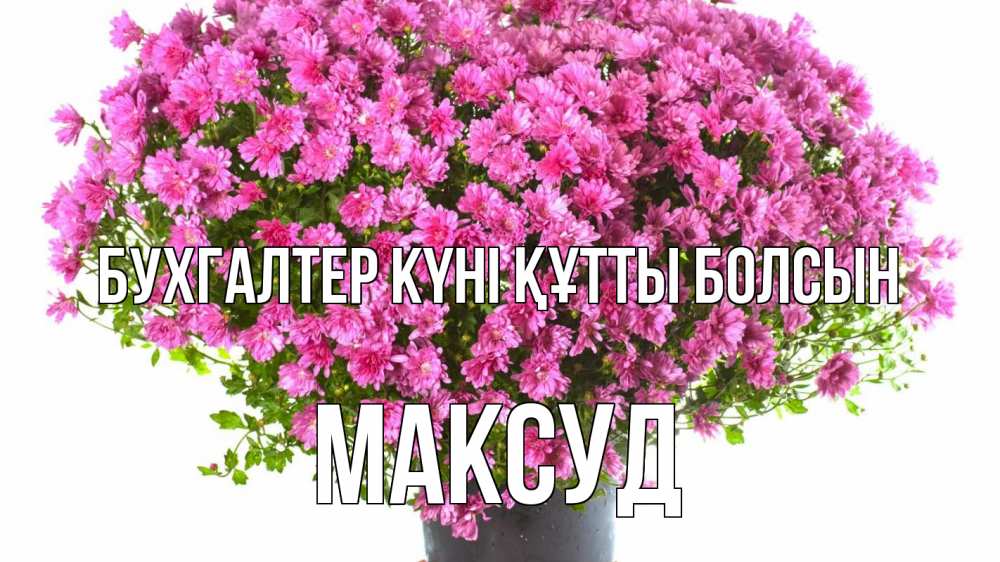 Күн сайын ашық хат с именем, Максуд бухгалтер күні құтты болсын с днем бухгалтера Онлайн тегін жүктеп алу тілектері бар керемет карта 