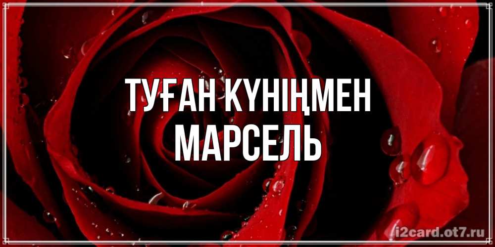 Күн сайын ашық хат с именем, Марсель Туған күніңмен крупная бордовая роза Онлайн тегін жүктеп алу тілектері бар керемет карта 
