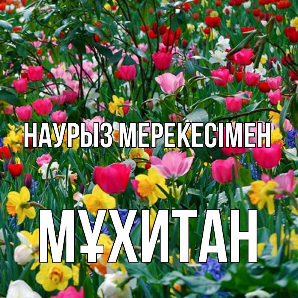 Күн сайын ашық хат с именем, МҰХИТАН Наурыз мерекесімен с наурызом праздником весны поздравления для женщины Онлайн тегін жүктеп алу тілектері бар керемет карта 