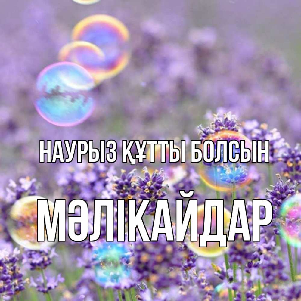 Күн сайын ашық хат с именем, МӘЛІКАЙДАР Наурыз құтты болсын цветы Онлайн тегін жүктеп алу тілектері бар керемет карта 
