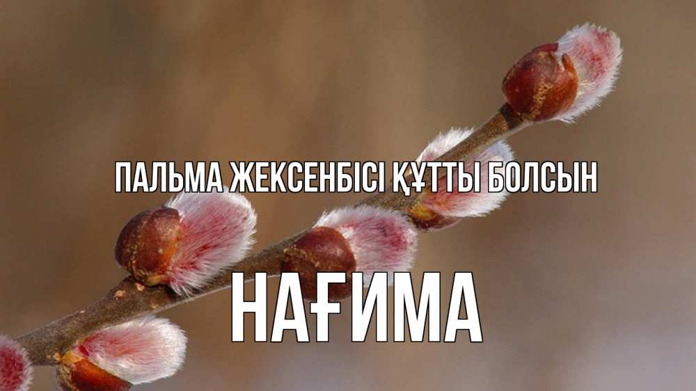 Күн сайын ашық хат с именем, НАҒИМА Пальма жексенбісі құтты болсын верба Онлайн тегін жүктеп алу тілектері бар керемет карта 