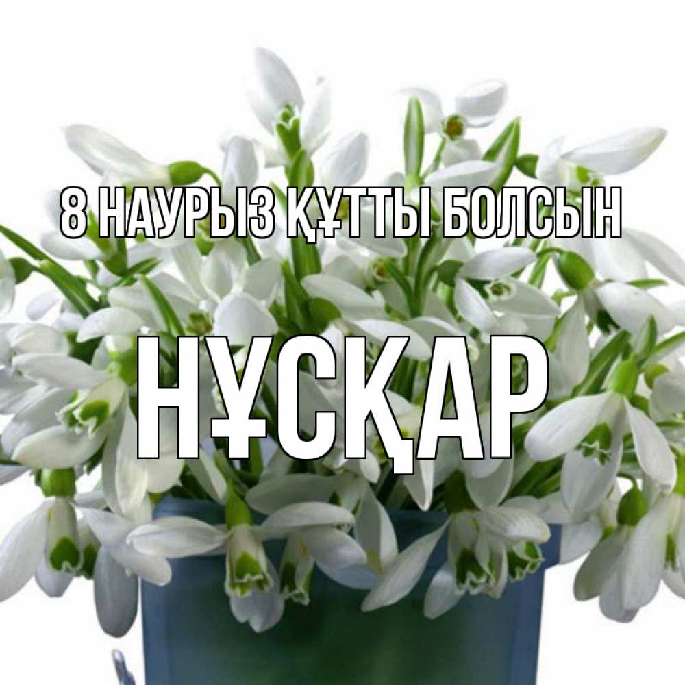 Күн сайын ашық хат с именем, НҰСҚАР 8 наурыз құтты болсын цветы к международному женскому дню Онлайн тегін жүктеп алу тілектері бар керемет карта 