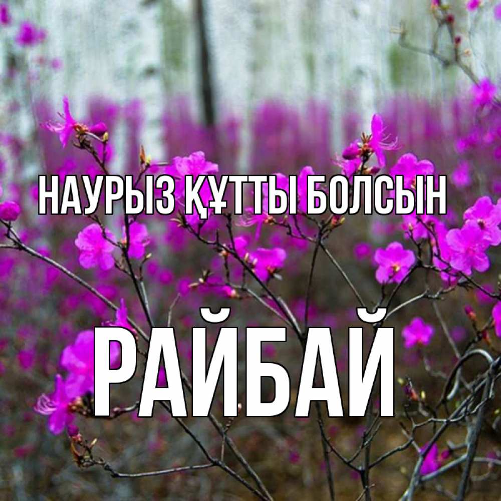 Күн сайын ашық хат с именем, РАЙБАЙ Наурыз құтты болсын дикие цветы Онлайн тегін жүктеп алу тілектері бар керемет карта 