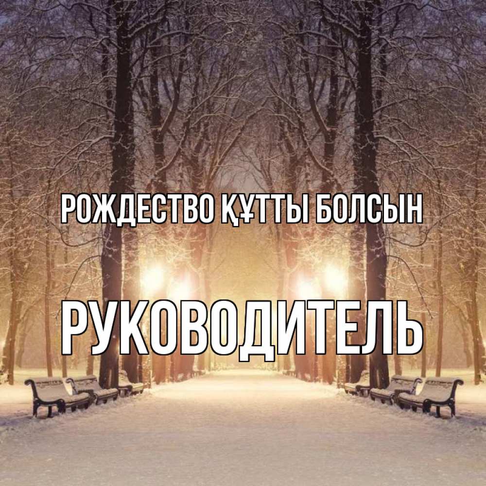 Күн сайын ашық хат с именем, Руководитель Рождество құтты болсын зима, парк, фонарь, лес Онлайн тегін жүктеп алу тілектері бар керемет карта 