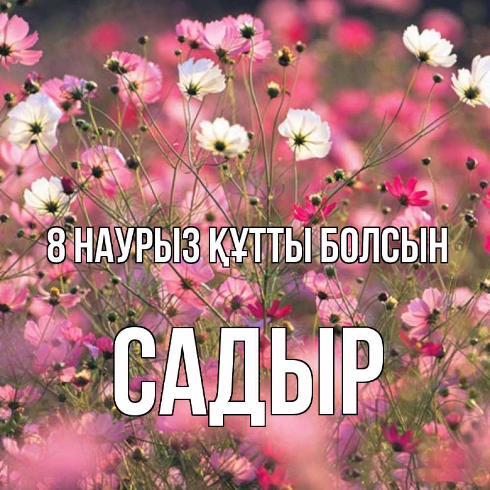 Күн сайын ашық хат с именем, САДЫР 8 наурыз құтты болсын красиво 1 Онлайн тегін жүктеп алу тілектері бар керемет карта 