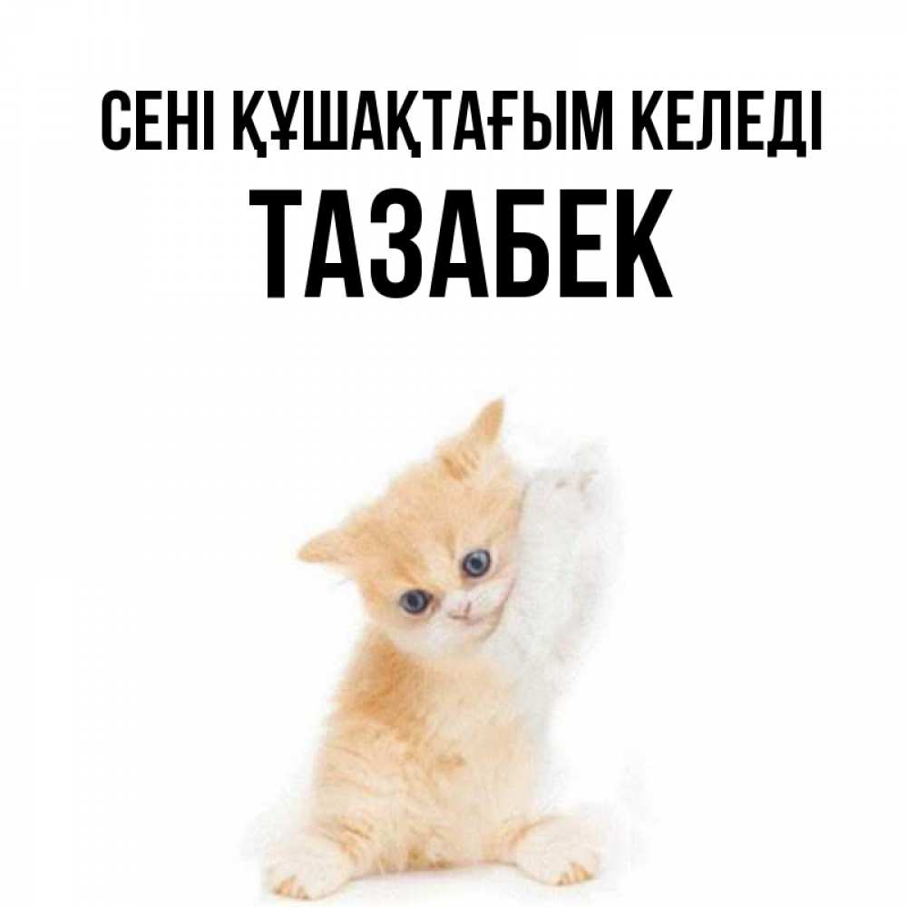Күн сайын ашық хат с именем, ТАЗАБЕК сені құшақтағым келеді я хочу очень скорее обнимаешек Онлайн тегін жүктеп алу тілектері бар керемет карта 