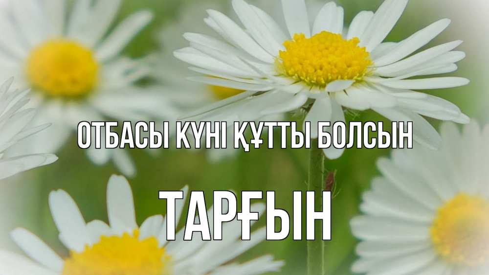 Күн сайын ашық хат с именем, ТАРҒЫН отбасы күні құтты болсын с днем семьи  1 Онлайн тегін жүктеп алу тілектері бар керемет карта 