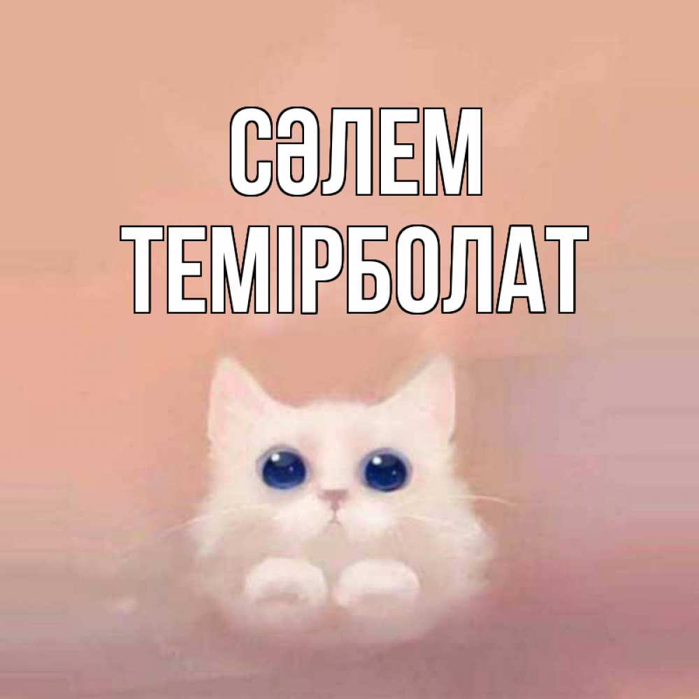 Күн сайын ашық хат с именем, ТЕМІРБОЛАТ Сәлем котик белый в полете Онлайн тегін жүктеп алу тілектері бар керемет карта 