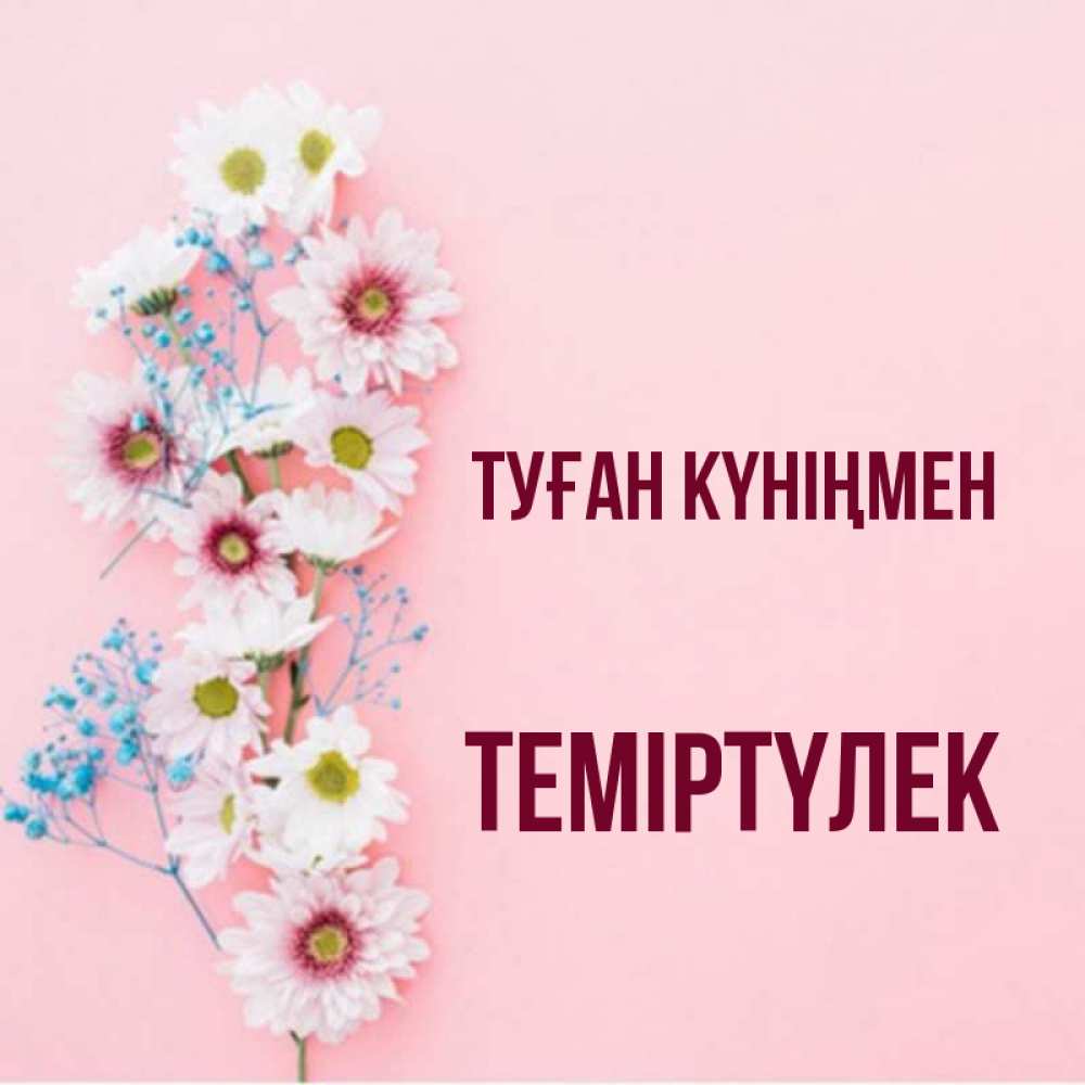 Күн сайын ашық хат с именем, ТЕМІРТҮЛЕК Туған күніңмен Родная моя с днем рождения тебя картинка с цветами белыми и голубыми Онлайн тегін жүктеп алу тілектері бар керемет карта 
