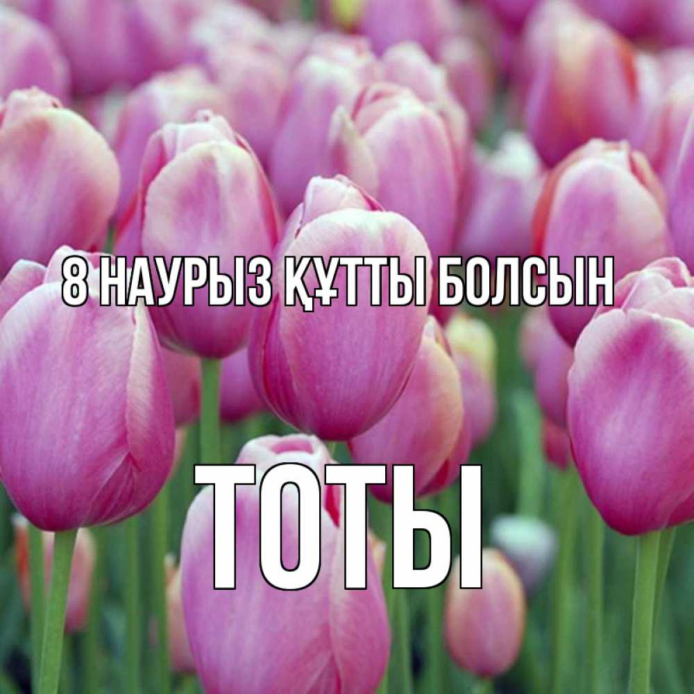 Күн сайын ашық хат с именем, ТОТЫ 8 наурыз құтты болсын на международный женский день 3 Онлайн тегін жүктеп алу тілектері бар керемет карта 