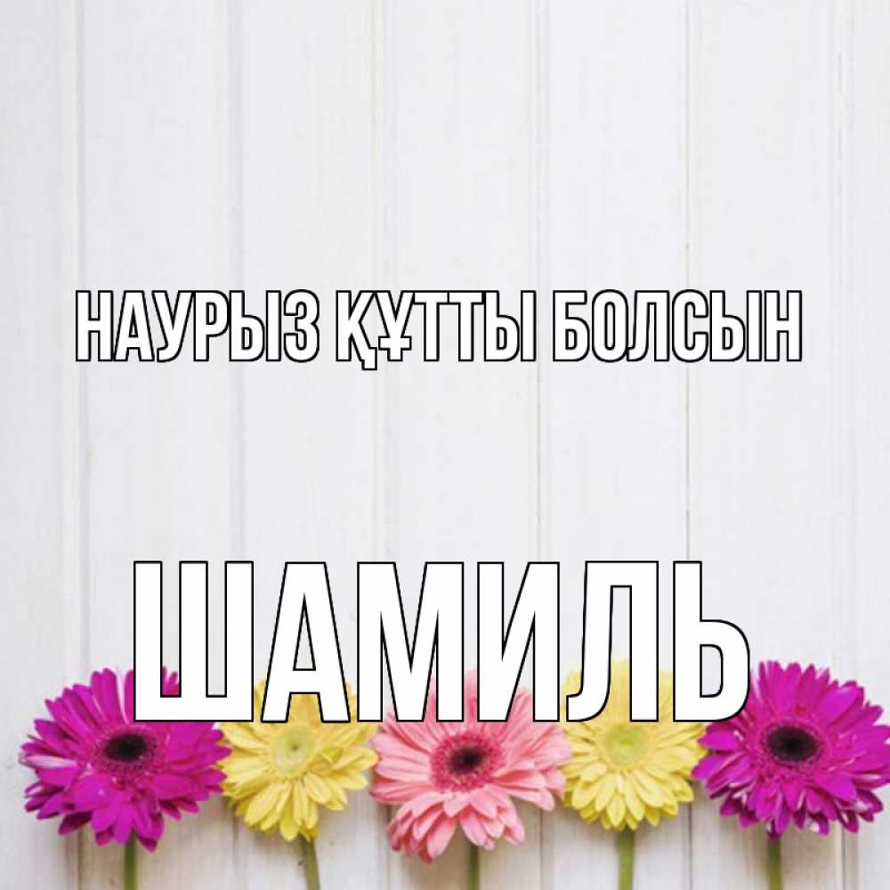 Күн сайын ашық хат с именем, Шамиль Наурыз құтты болсын женщинам 1 Онлайн тегін жүктеп алу тілектері бар керемет карта 