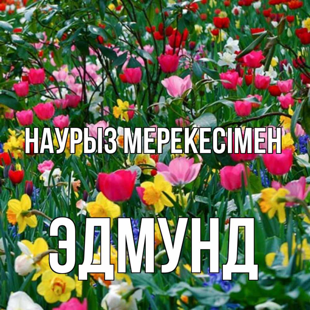 Күн сайын ашық хат с именем, Эдмунд Наурыз мерекесімен с наурызом праздником весны поздравления для женщины Онлайн тегін жүктеп алу тілектері бар керемет карта 