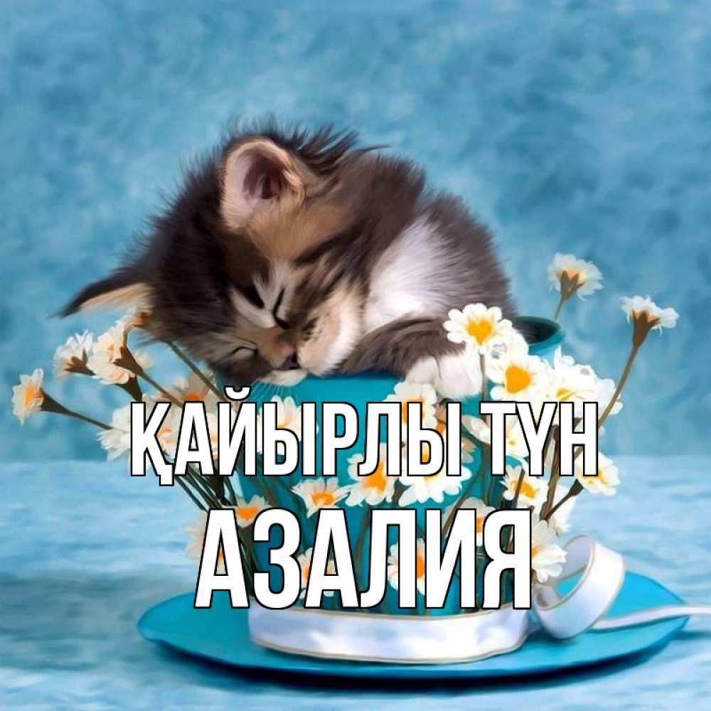 Күн сайын ашық хат с именем, Азалия Қайырлы түн котенок спит в кружке с блюдцем Онлайн тегін жүктеп алу тілектері бар керемет карта 