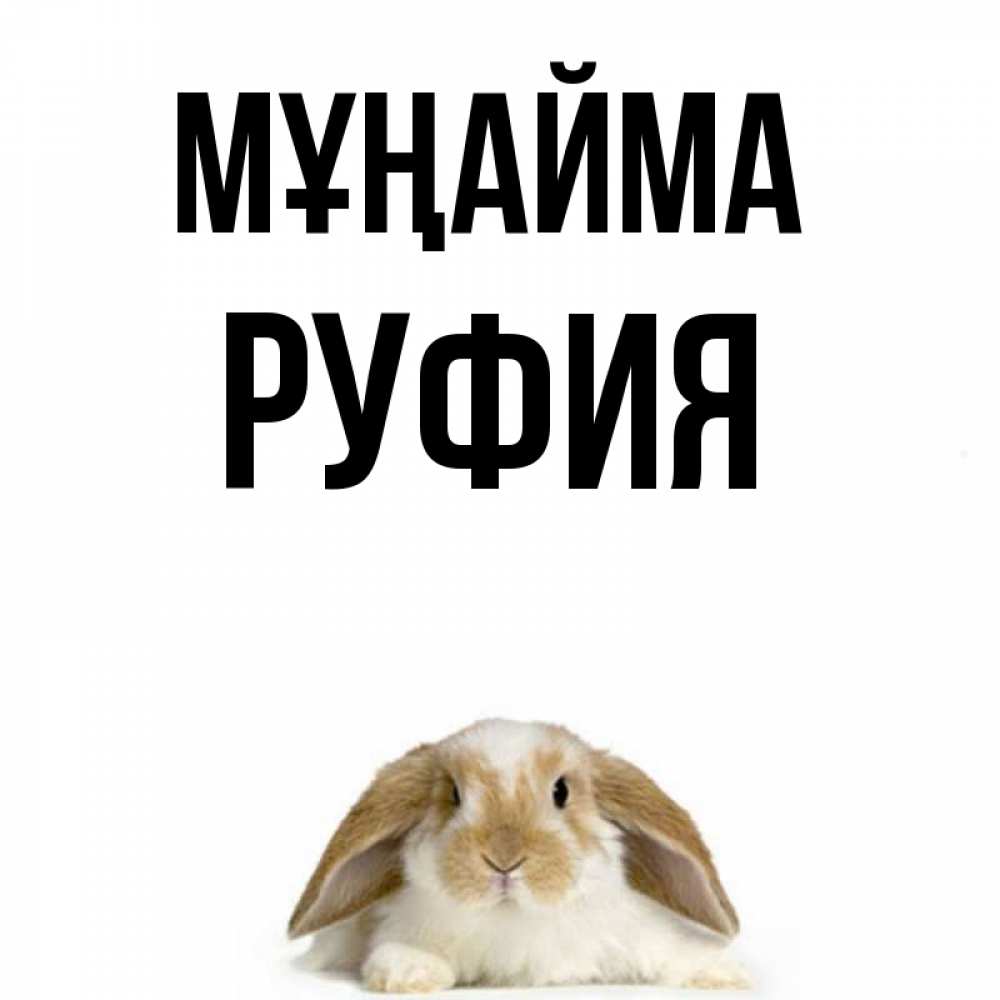 Күн сайын ашық хат с именем, РУФИЯ Мұңайма коричнево белый заяц с большими ушками Онлайн тегін жүктеп алу тілектері бар керемет карта 
