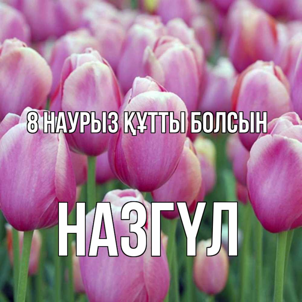 Күн сайын ашық хат с именем, НАЗГҮЛ 8 наурыз құтты болсын на международный женский день 3 Онлайн тегін жүктеп алу тілектері бар керемет карта 