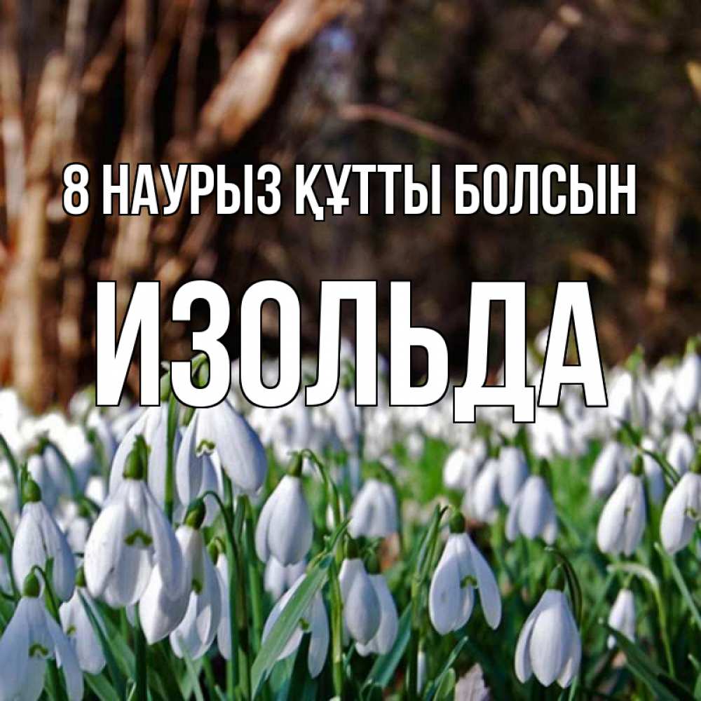 Күн сайын ашық хат с именем, Изольда 8 наурыз құтты болсын с подснежниками 1 Онлайн тегін жүктеп алу тілектері бар керемет карта 