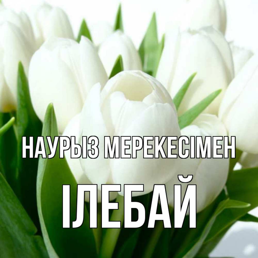 Күн сайын ашық хат с именем, Ілебай Наурыз мерекесімен цветы Онлайн тегін жүктеп алу тілектері бар керемет карта 