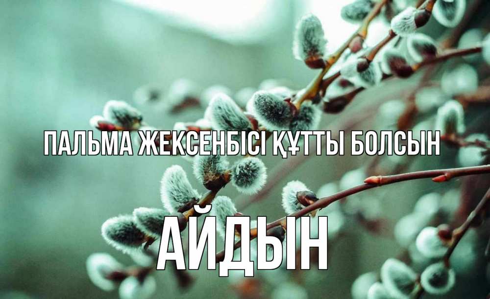 Күн сайын ашық хат с именем, Айдын Пальма жексенбісі құтты болсын верба Онлайн тегін жүктеп алу тілектері бар керемет карта 